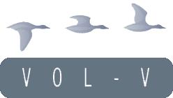 Vol-V